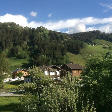 Kitzbuheler Alpen Penthouse Hollersbach Apartment Холерсбах им Пинцгау Екстериор снимка
