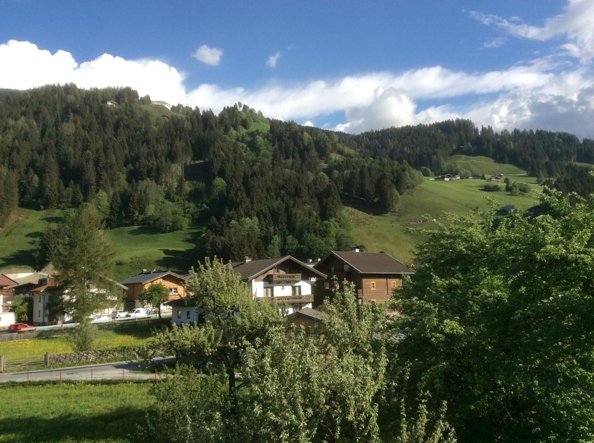 Kitzbuheler Alpen Penthouse Hollersbach Apartment Холерсбах им Пинцгау Екстериор снимка