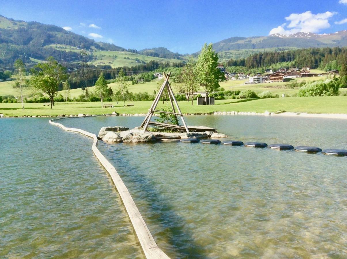 Kitzbuheler Alpen Penthouse Hollersbach Apartment Холерсбах им Пинцгау Екстериор снимка
